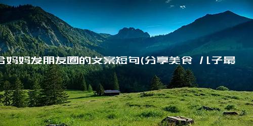 适合妈妈发朋友圈的文案短句(分享美食 儿子最爱的果汁饮品，健康好喝)